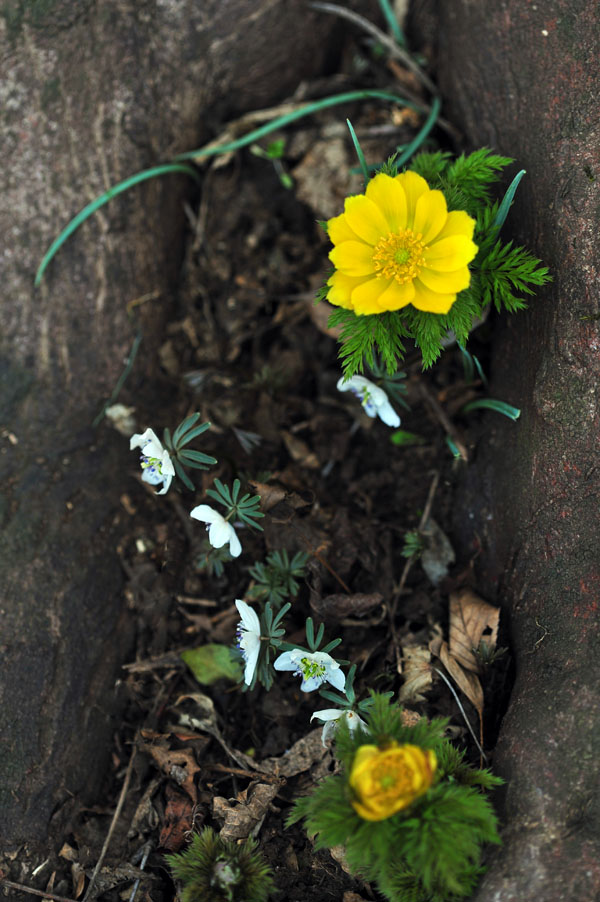 20120310_0027-1.jpg