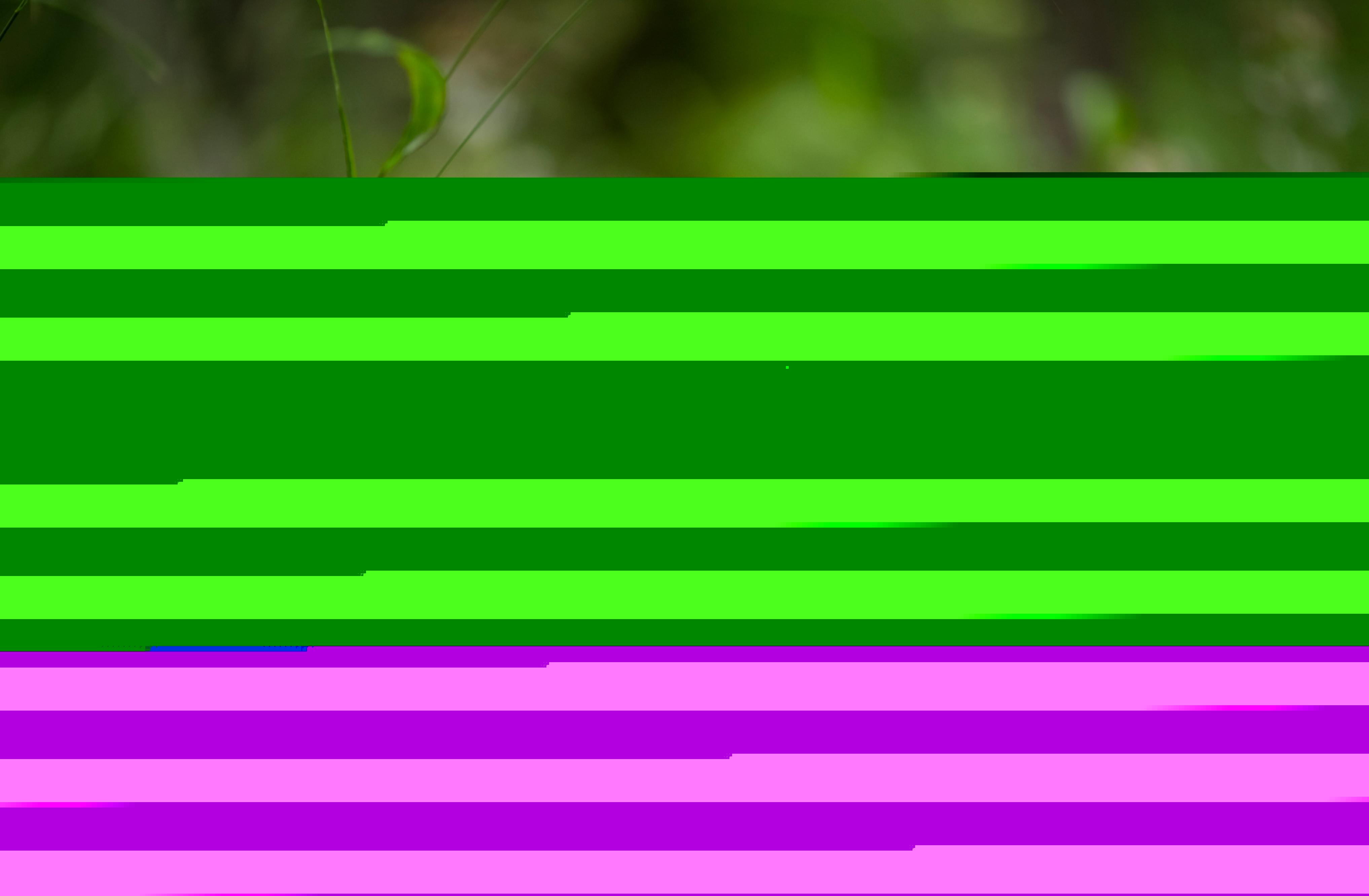 20210826_113758.jpg