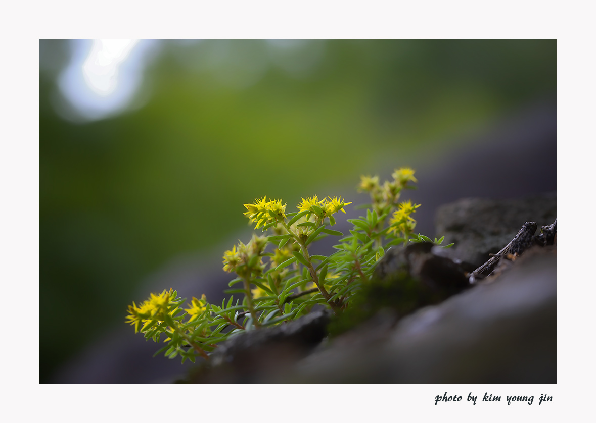 5A7A7839-2.jpg