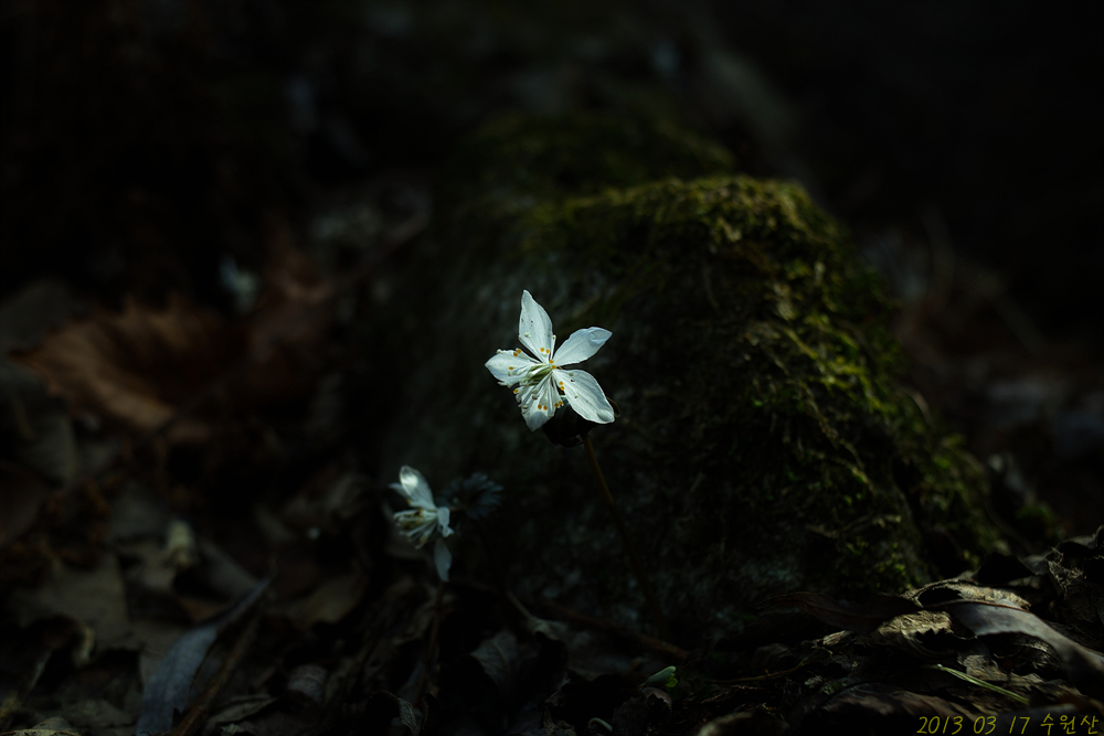 SDIM3319.jpg