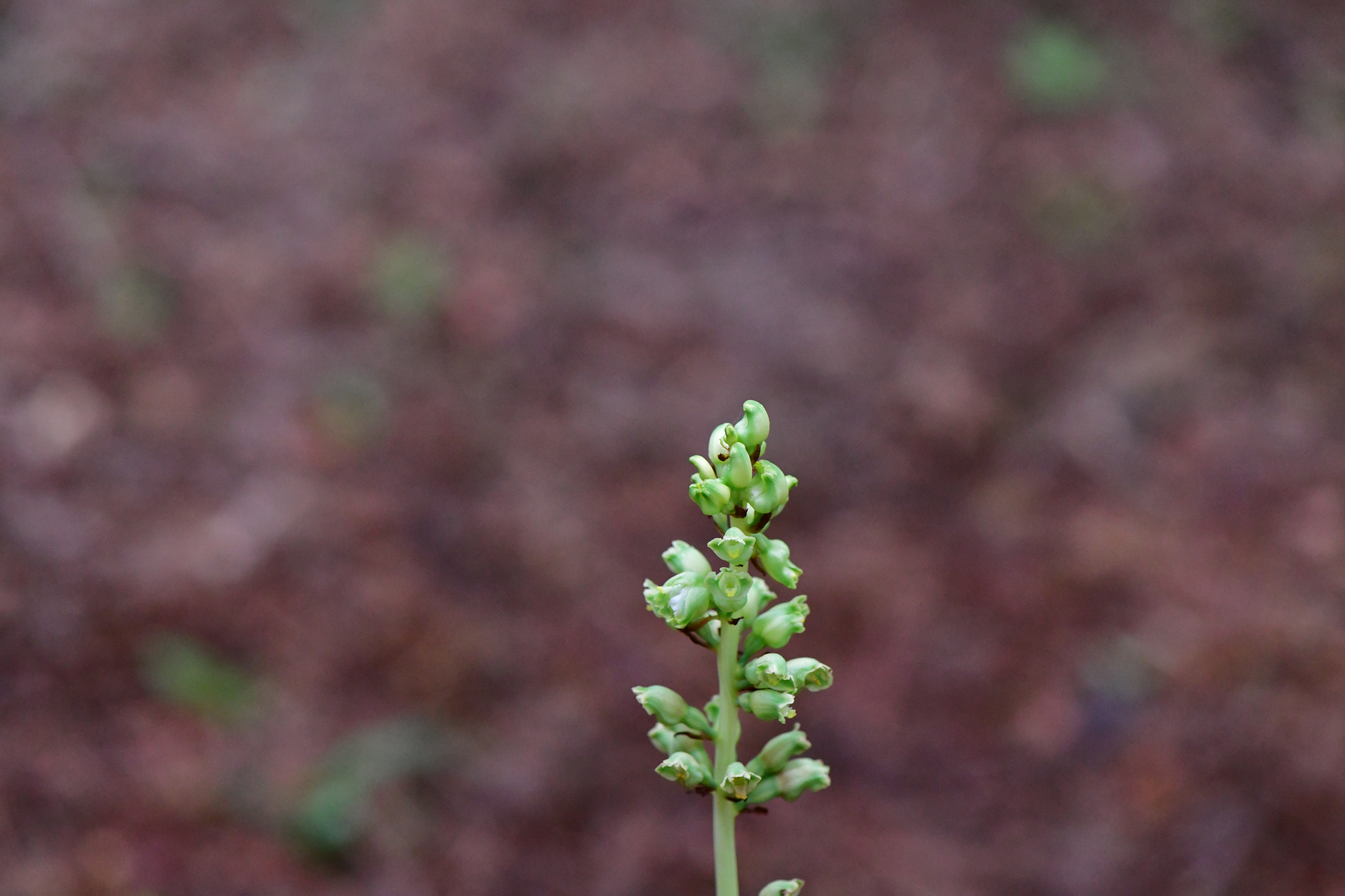 DSC_8763.JPG