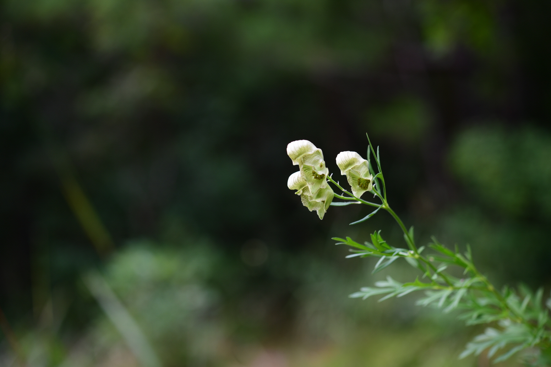 크기변환_DSC_9293.JPG