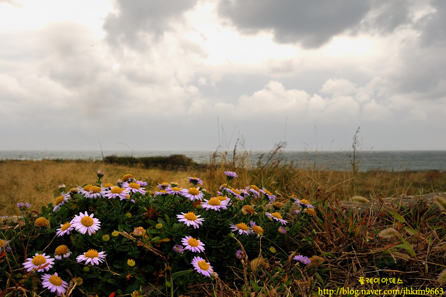 DSC_0867.jpg