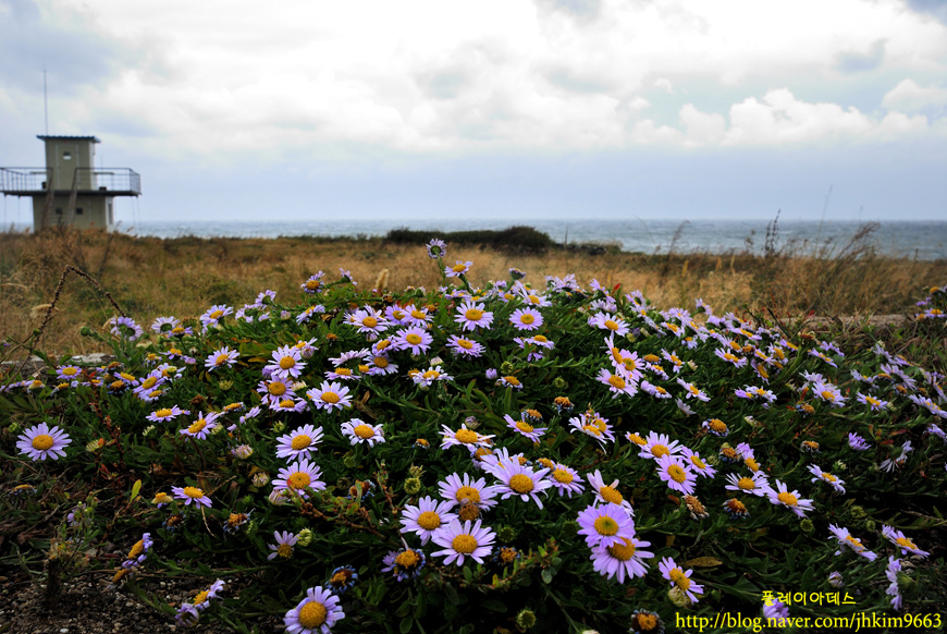 DSC_0869.jpg
