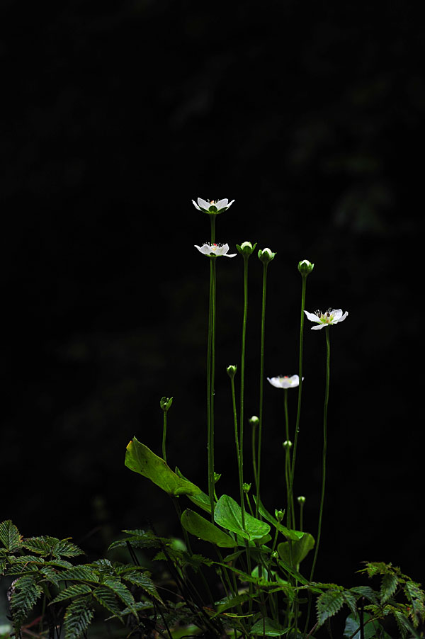110918_0084-1.jpg