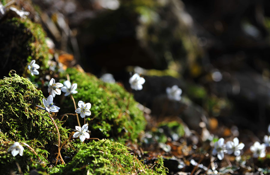 20120324_0025-1.jpg