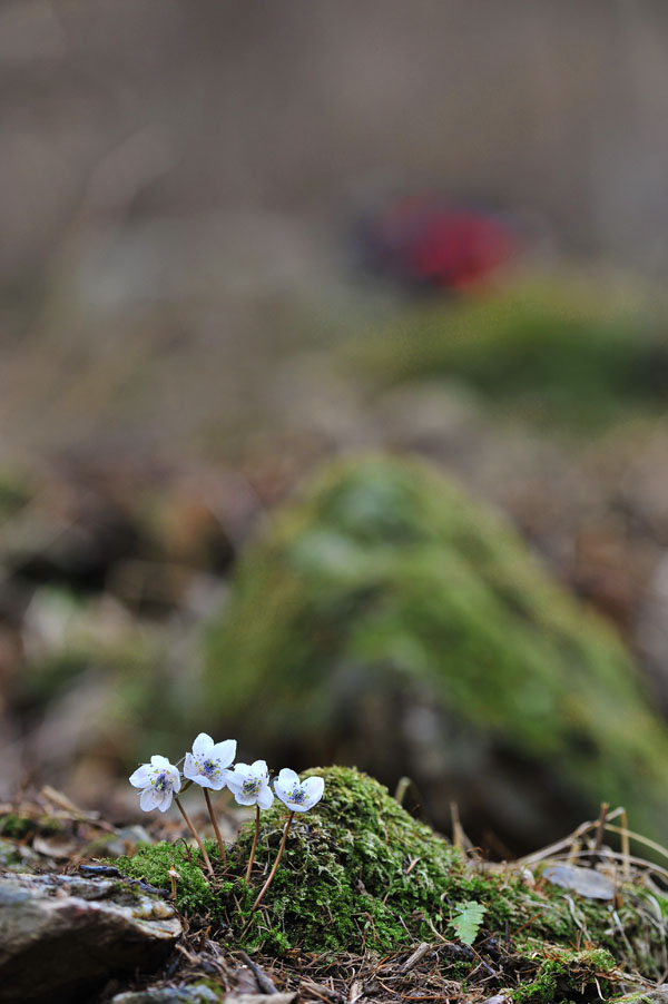 20120324_0138-1.jpg
