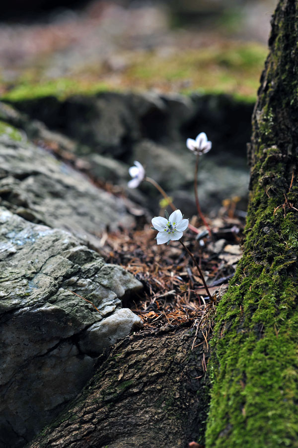20120324_0167-1.jpg