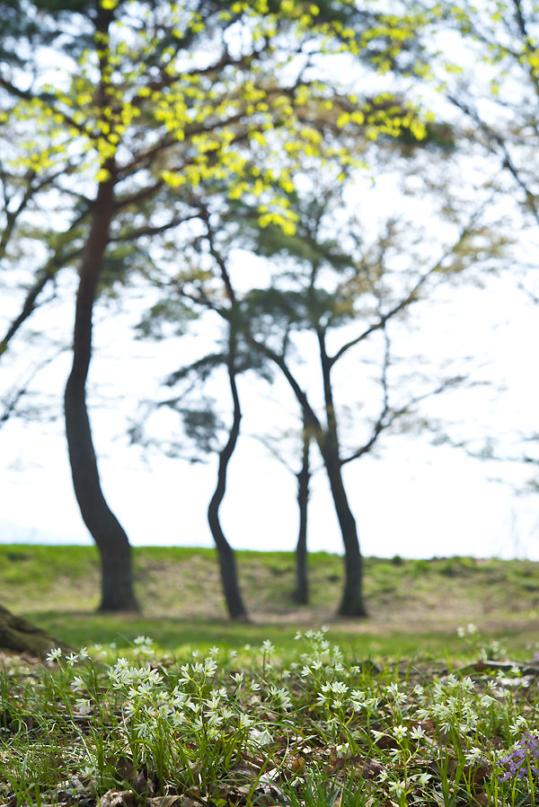 20130428_0370a-1.jpg