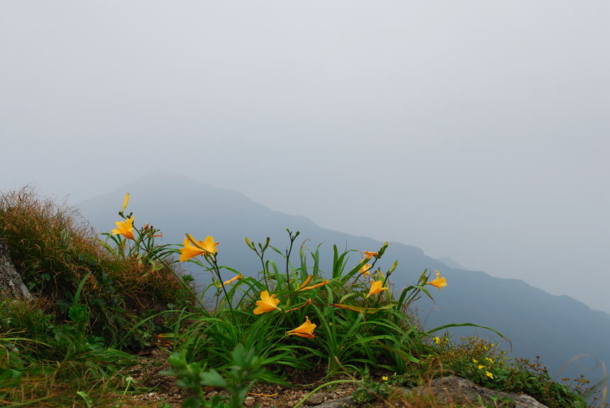 DSC_4837-1.jpg
