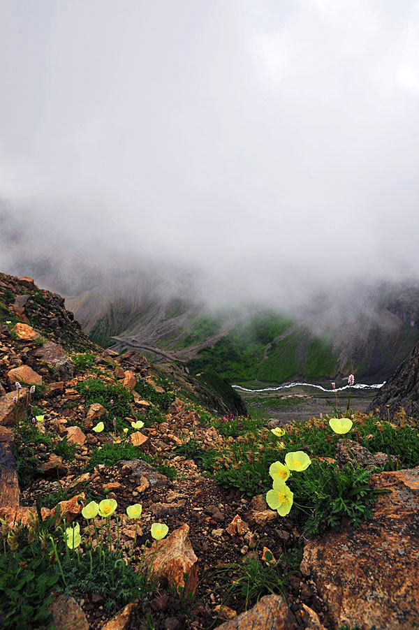 20120714_0216-1.jpg