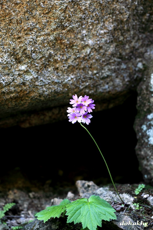 DPP_000133.jpg