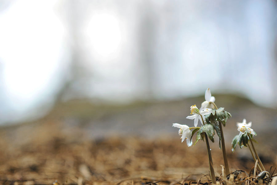 20120317_0005-1.jpg