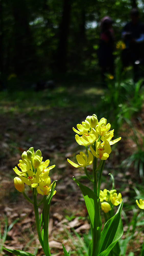 L1090380-1.jpg