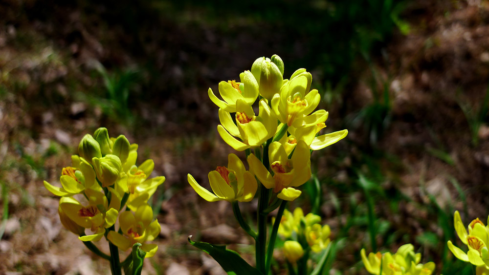 L1090372-1.jpg