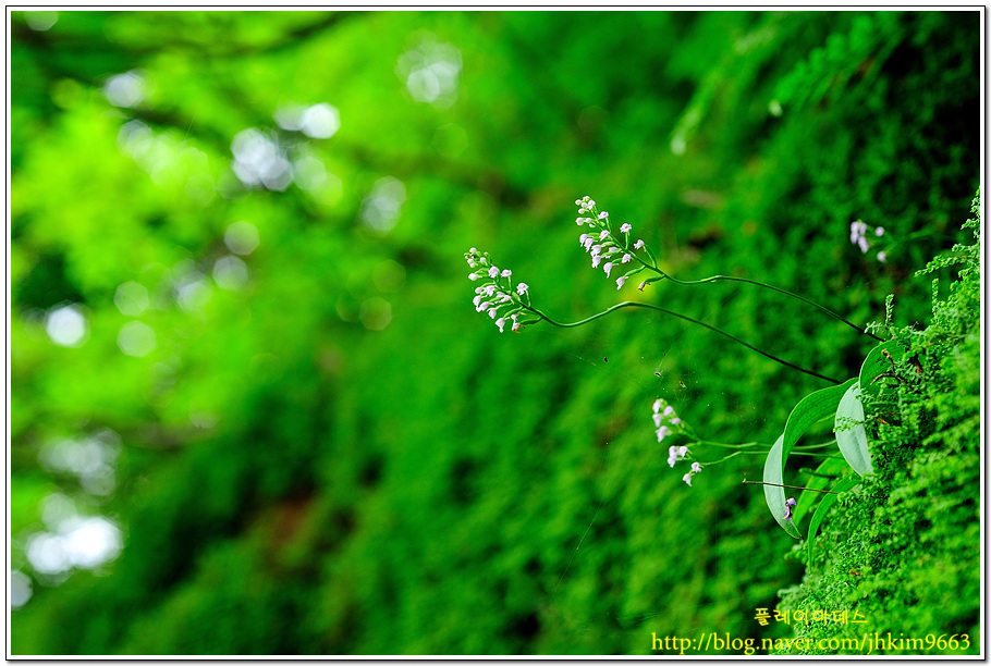 DSC_2873.jpg