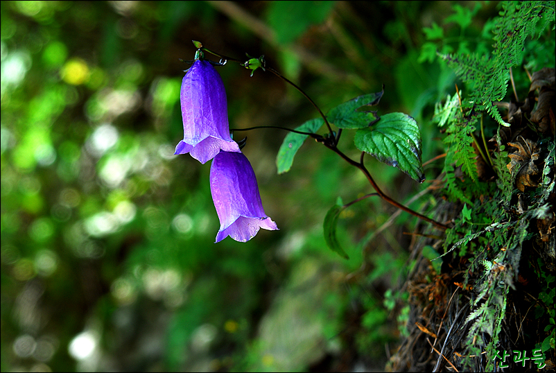 DSC_3358.jpg