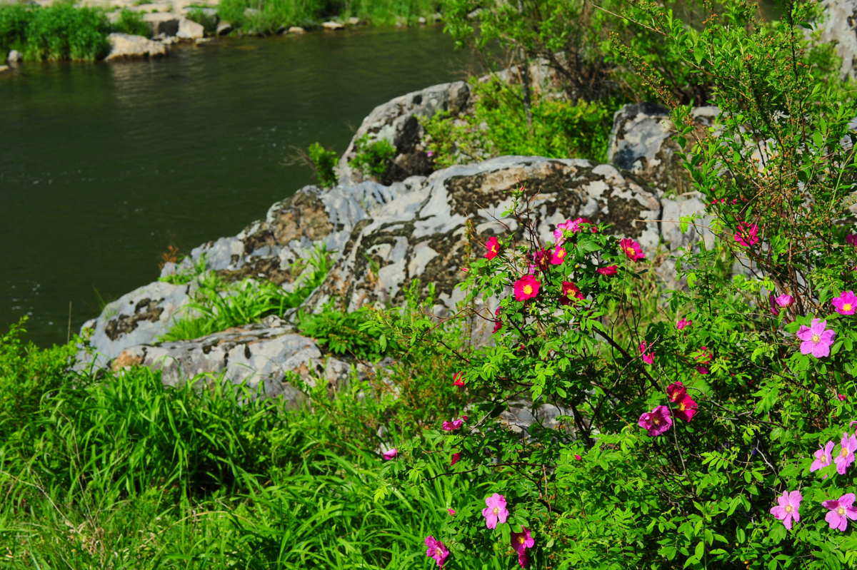 DSC_3405.JPG