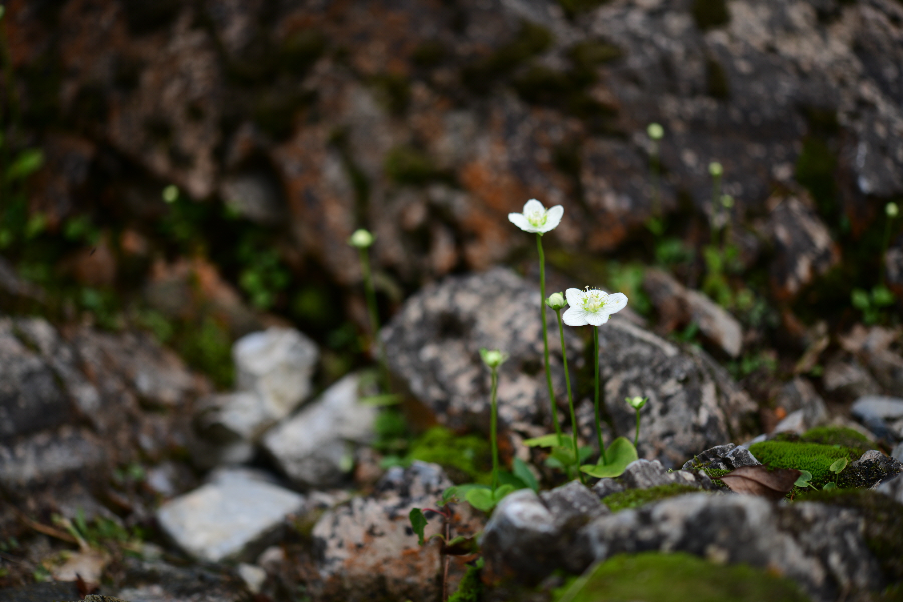 크기변환_DSC_9004.JPG