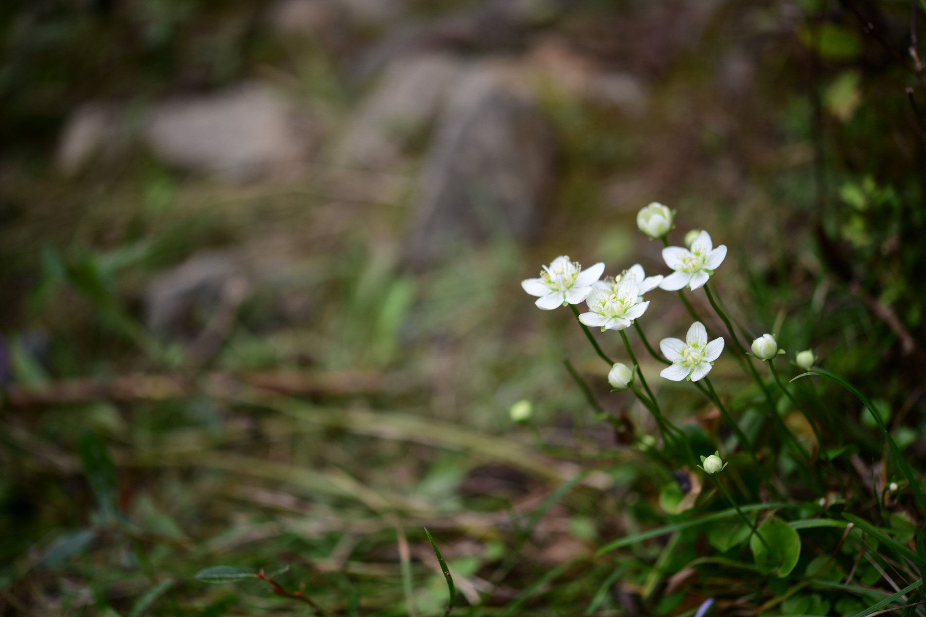 크기변환_DSC_8970.JPG