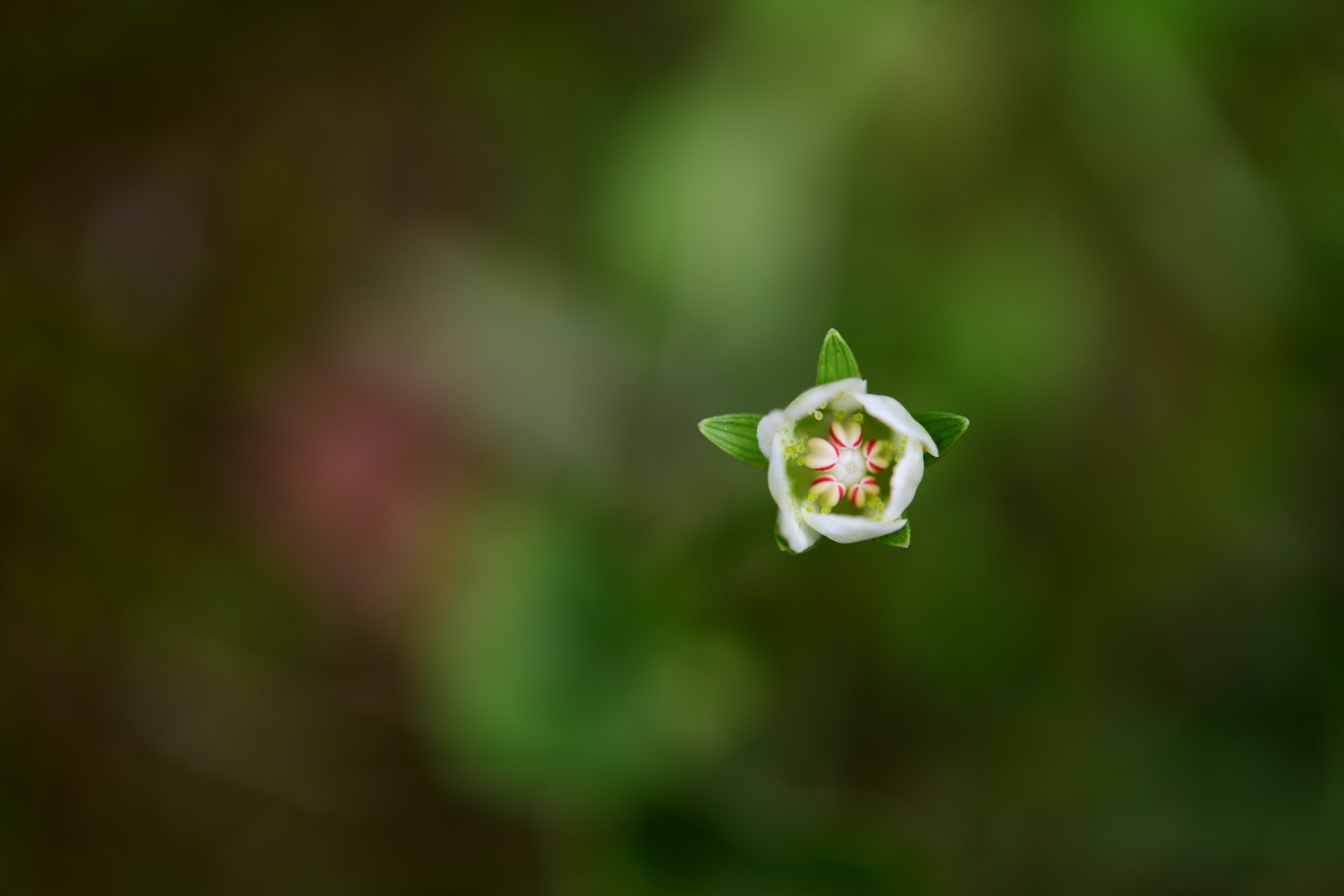 크기변환_DSC_8985.JPG