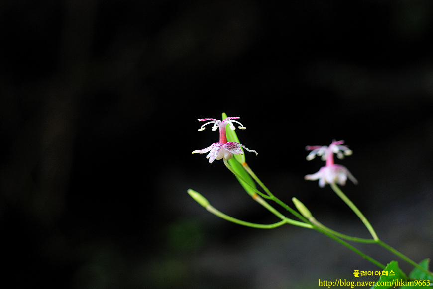 DSC_6488.jpg