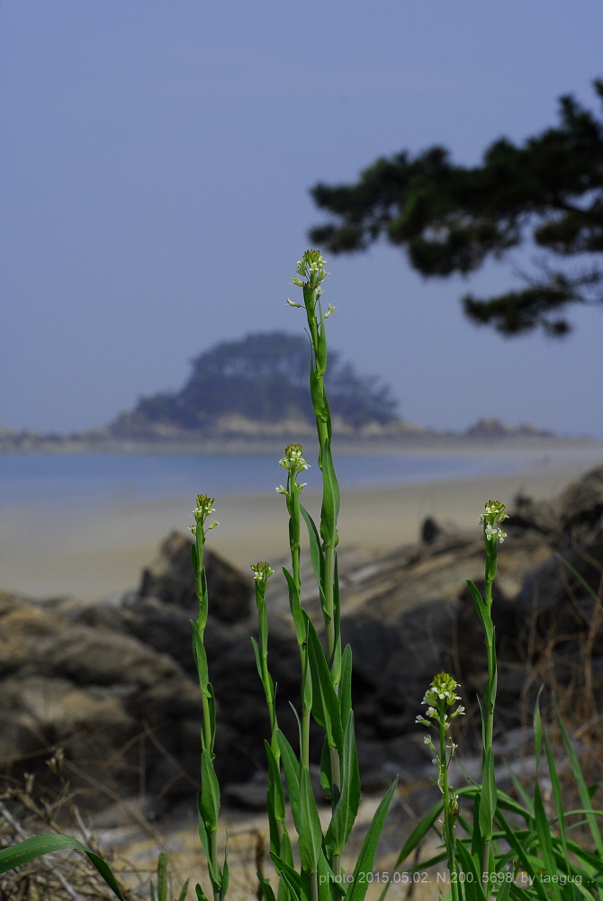 mm_DSC5698.JPG
