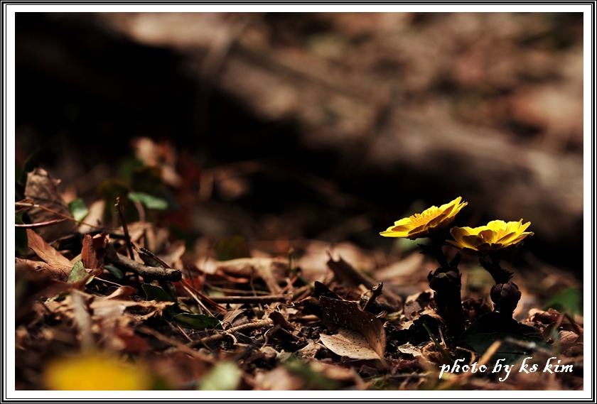 DSC_7819.jpg
