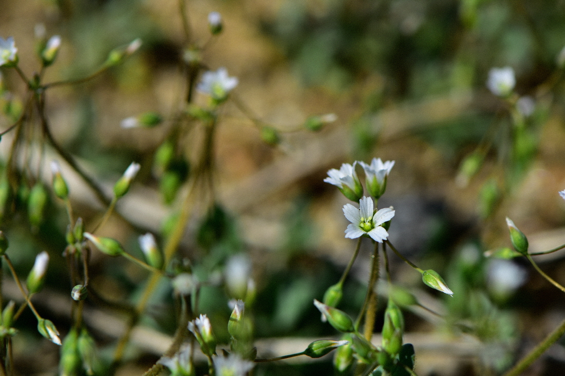 DSC_2745.JPG