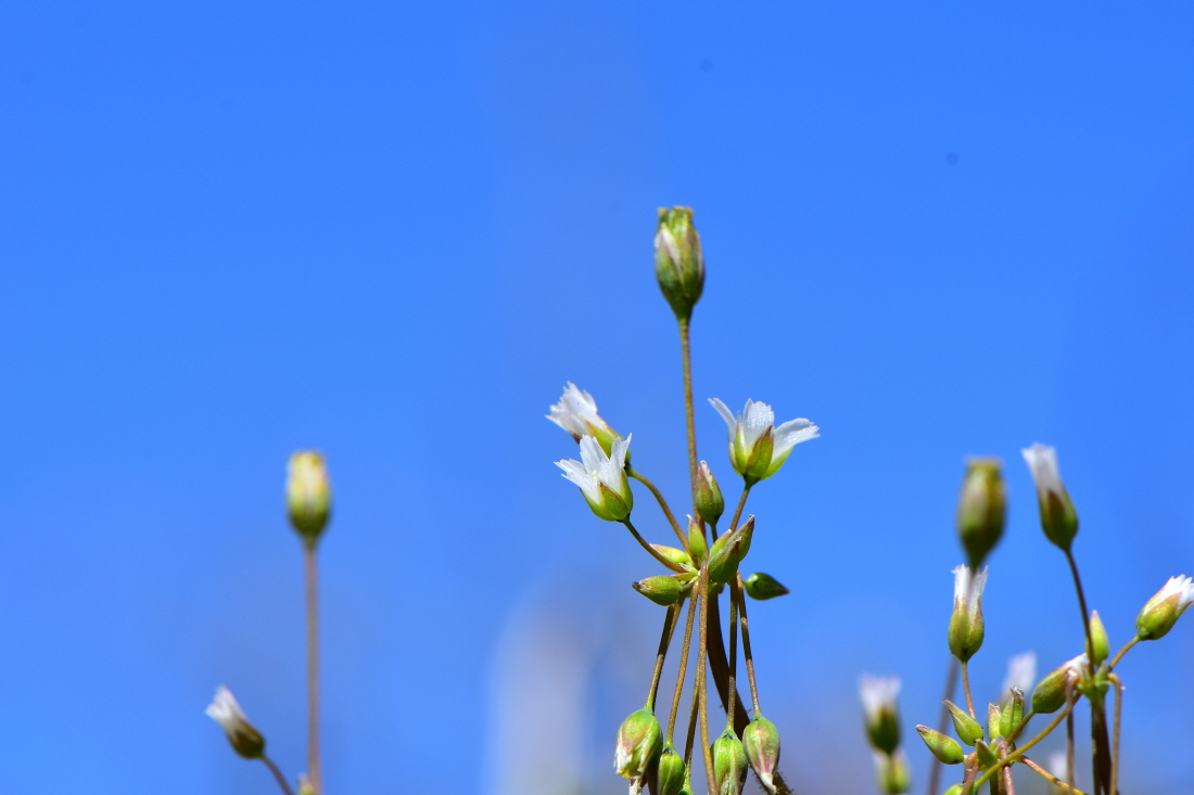 DSC_2367.JPG