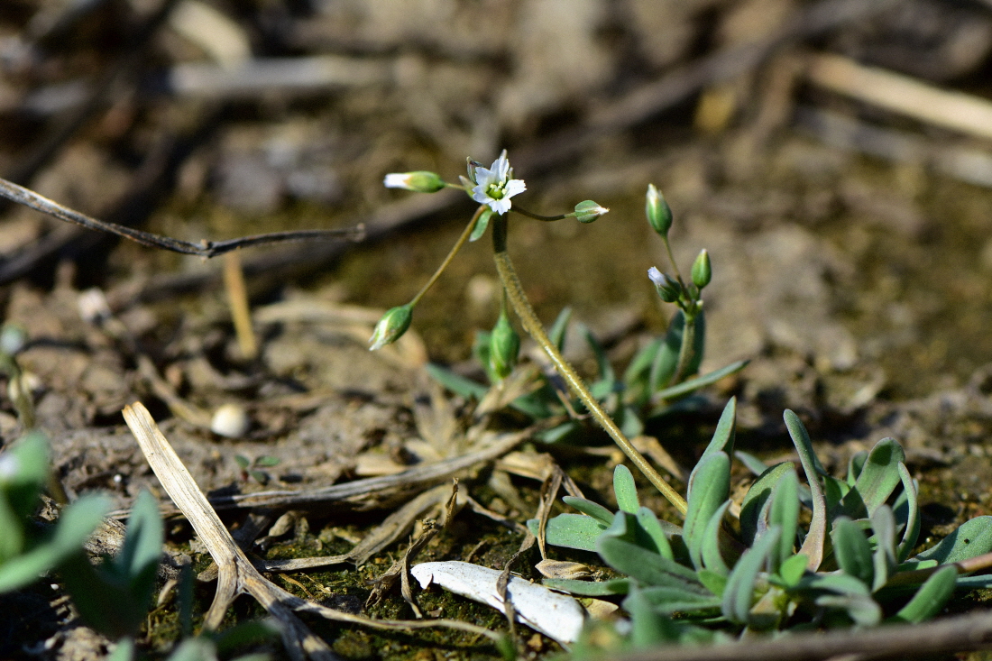 DSC_2786.JPG