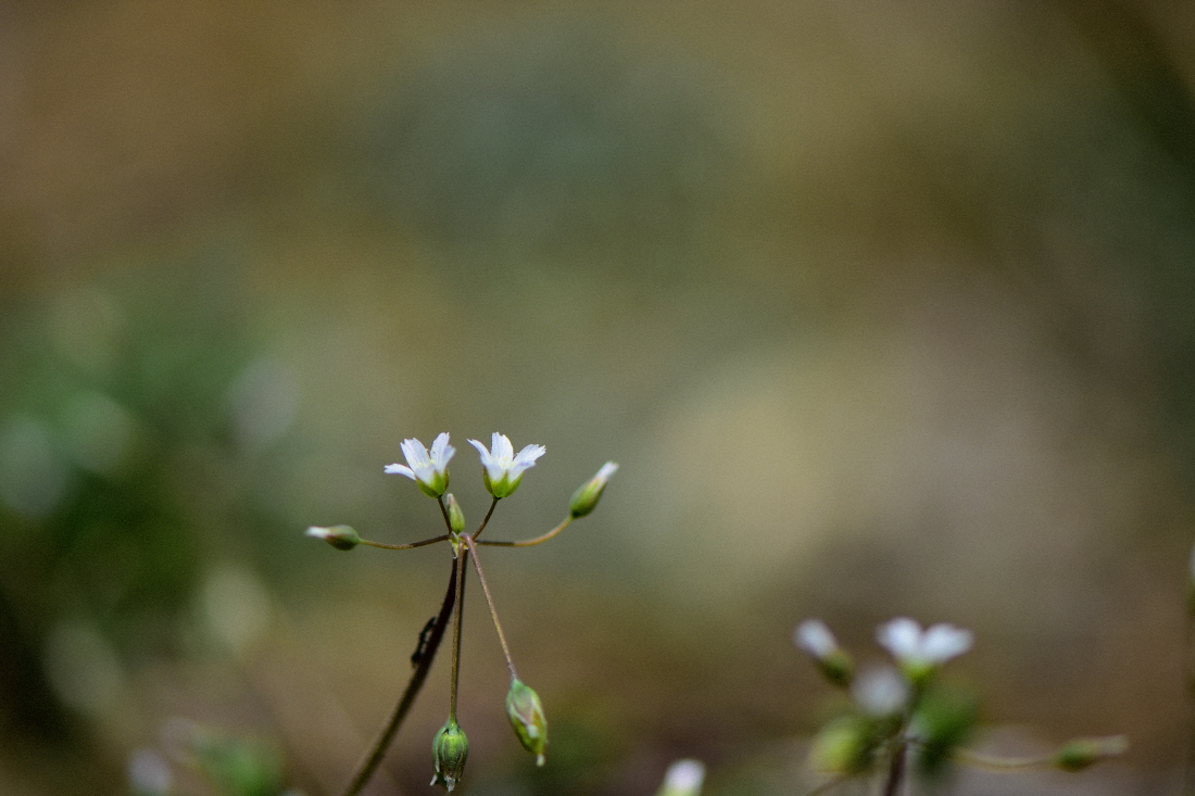 DSC_2329.JPG