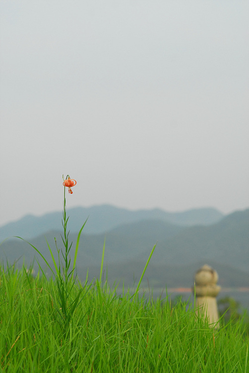 1-DSC_2749.jpg