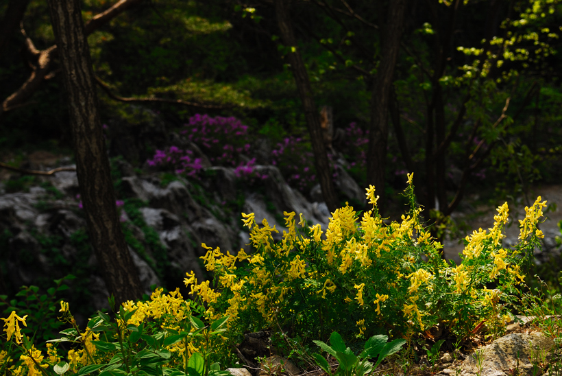 DSC_1364-1.jpg
