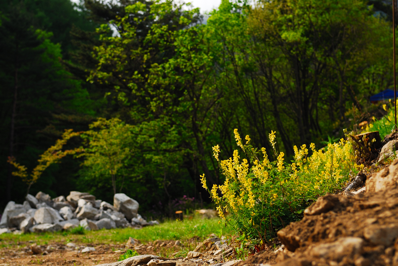 DSC_1361-1.jpg