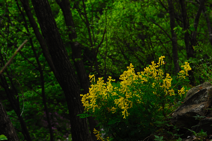 DSC_1368-1.jpg