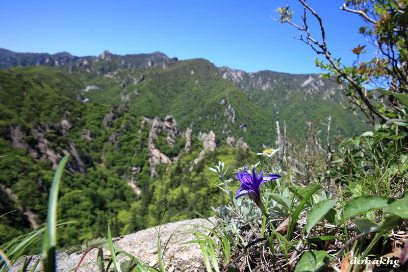 DPP_00029.jpg