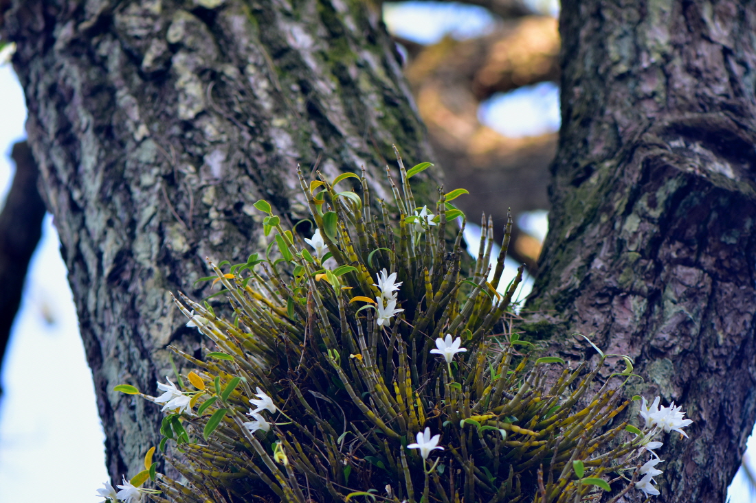 DSC_5669.JPG