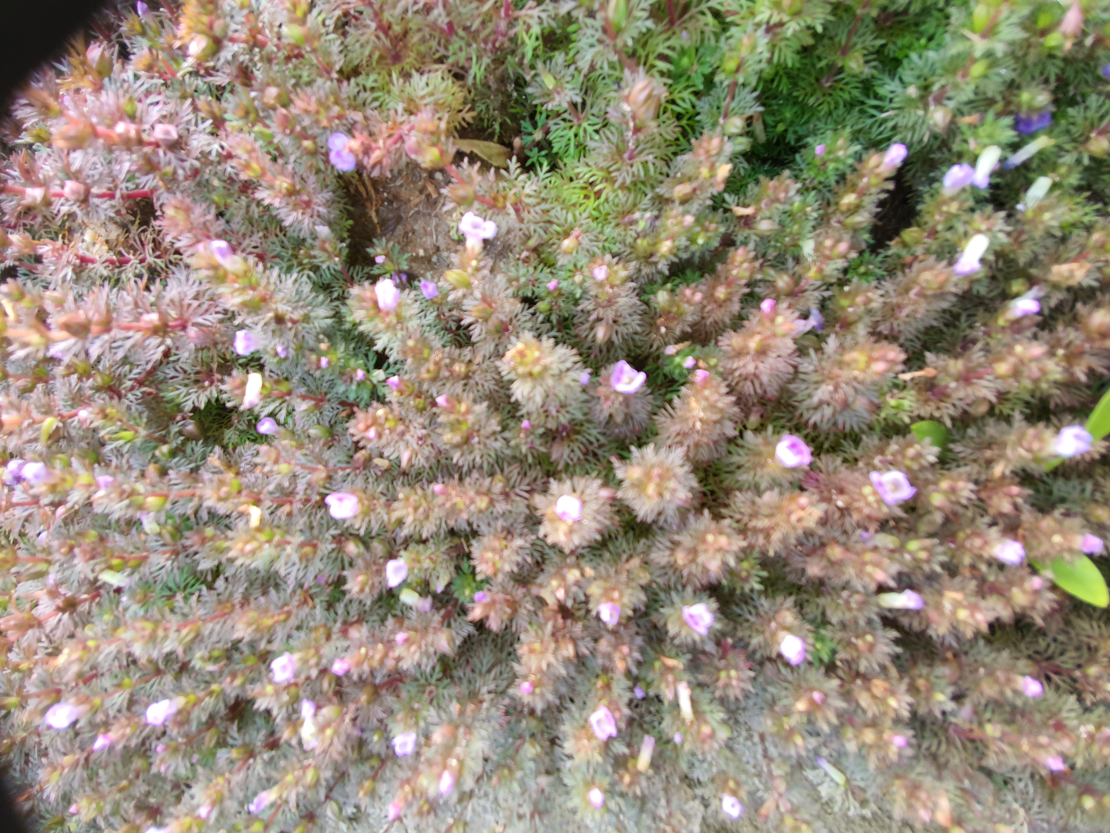 20191009_142146.jpg