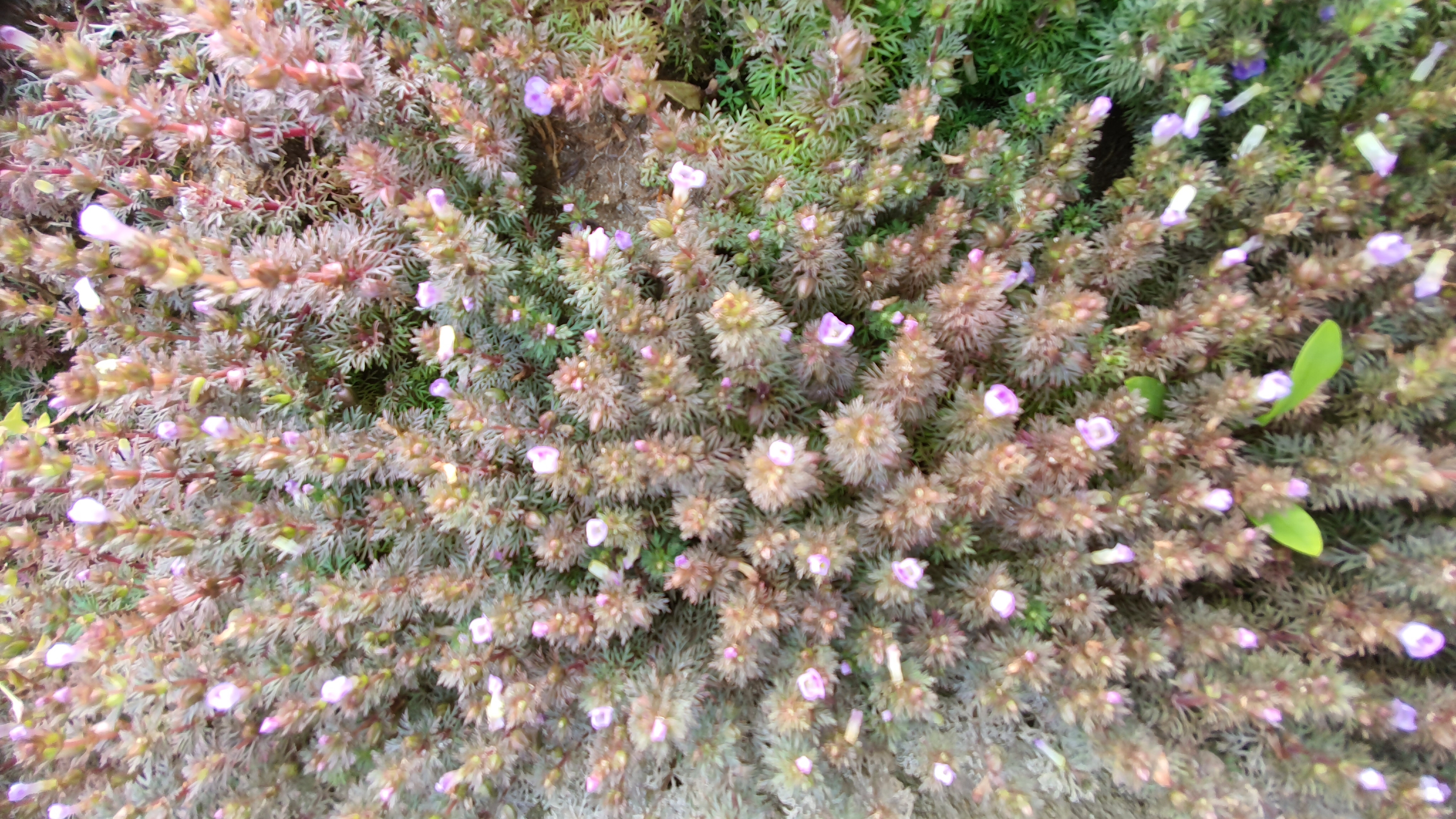 20191011_201324.jpg