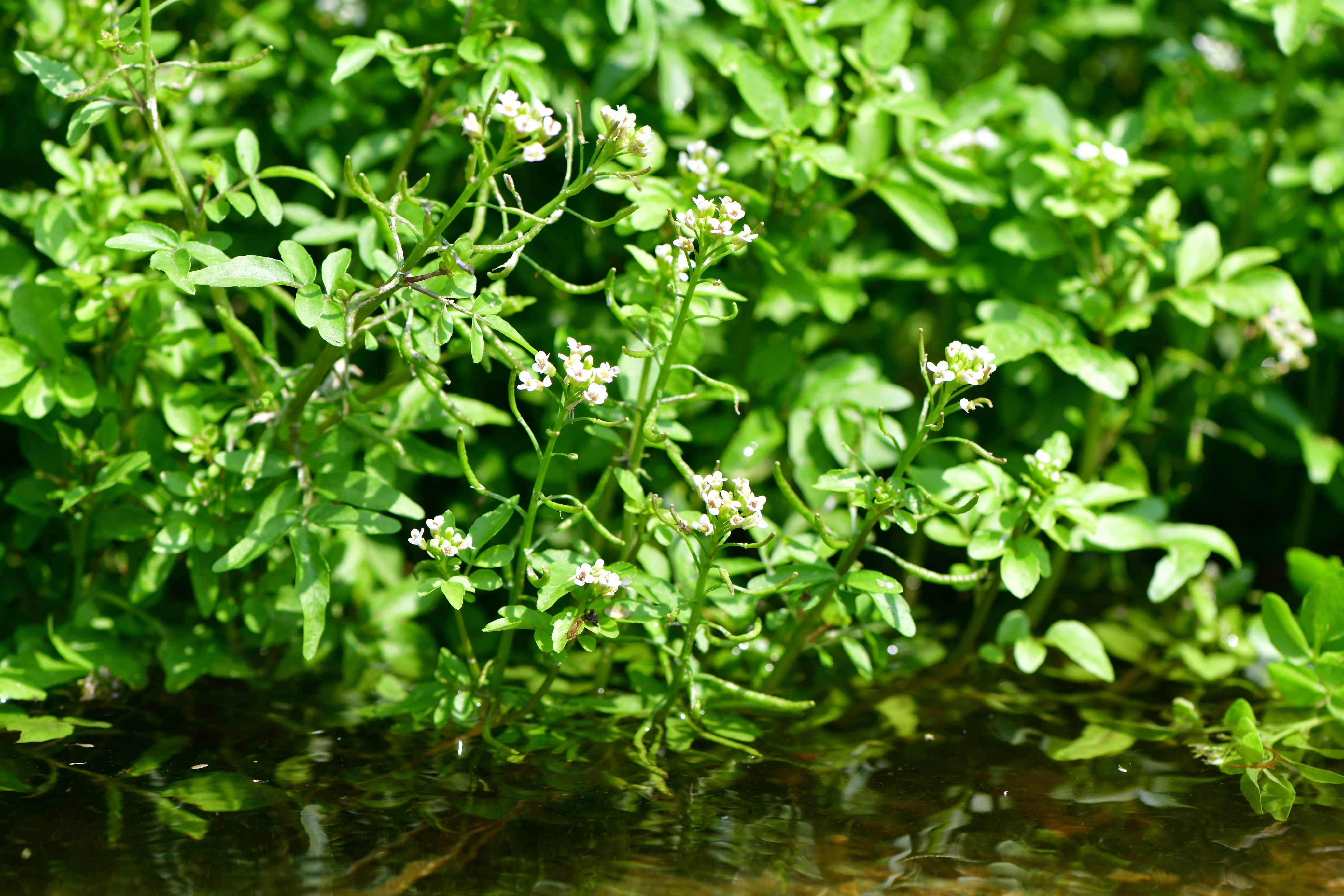 DSC_9449.JPG