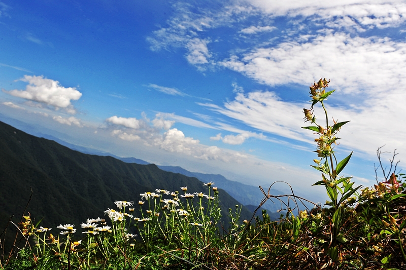 DSC_9153-1.jpg