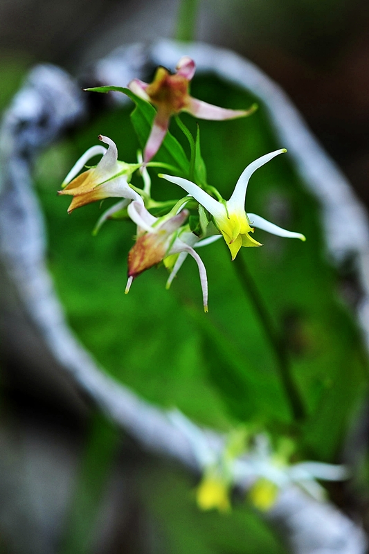 DSC_9175.jpg