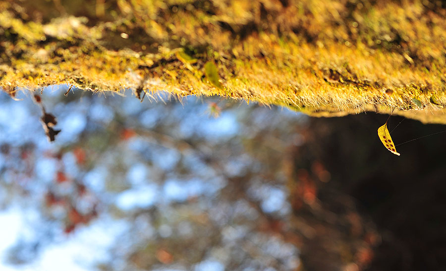 20111218_0132-1.jpg