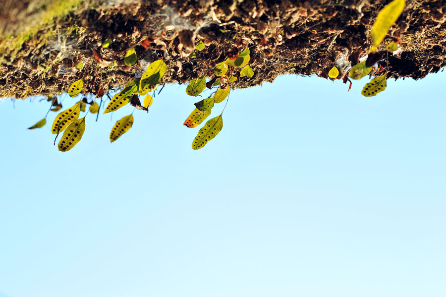 20111218_0173-1.jpg