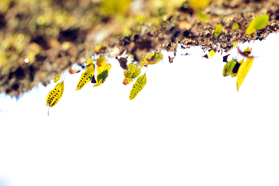 20111218_0162-1.jpg