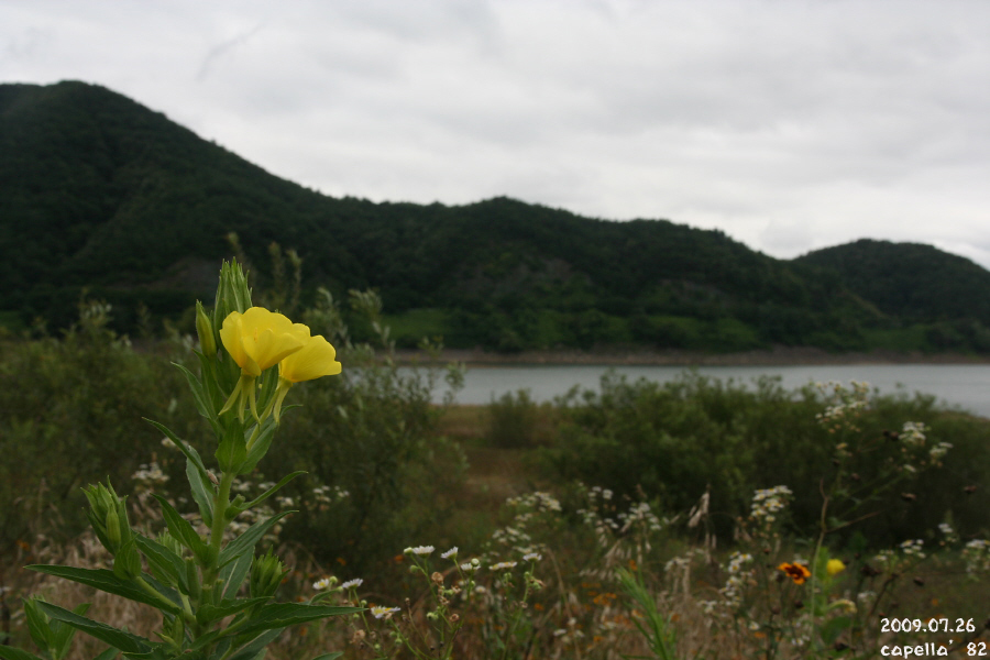 0726-6-1.JPG