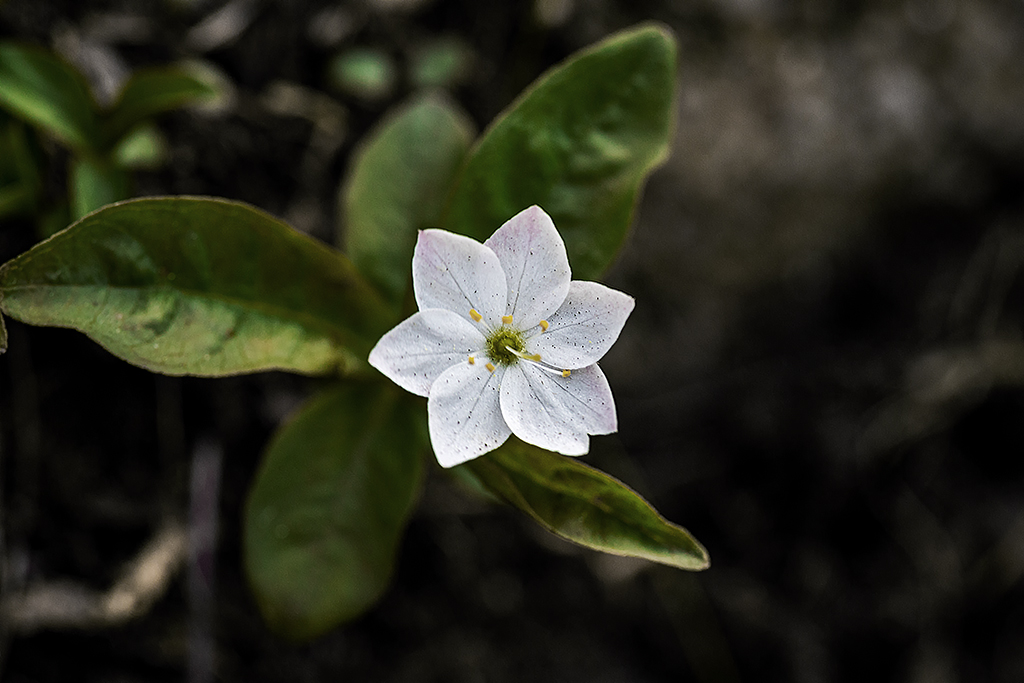 5A7A7624.psd-1.jpg