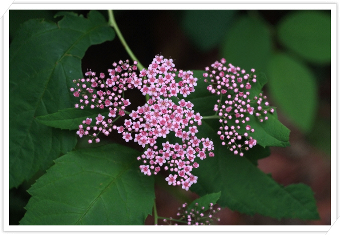 DSCF8620.JPG