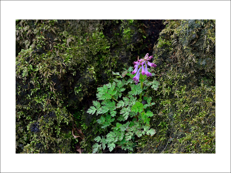 DSC_6609.jpg